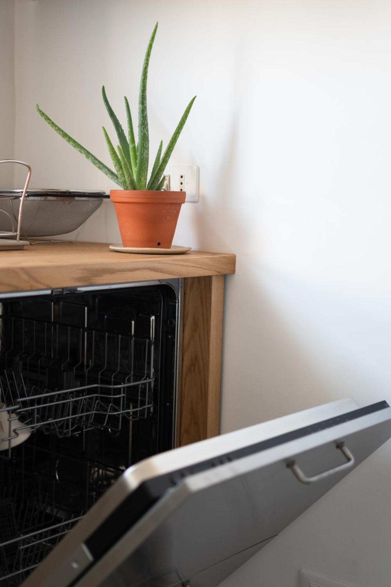 Brique Appartement